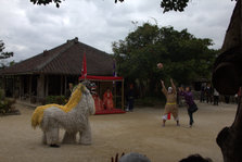 IMG_7630.jpg