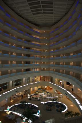 IMG_7707.jpg