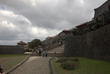 IMG_7821.jpg