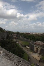 IMG_7828.jpg