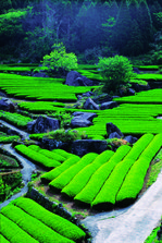 茶·酒·瓷 (1).jpg