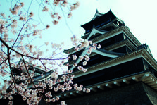 DSC_8533-特别推荐熊本城.jpg