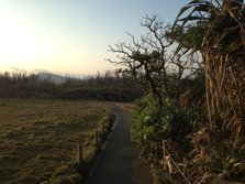 IMG_0548.JPG