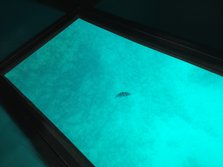 IMG_0574.JPG