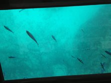 IMG_0577.JPG