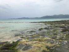 IMG_0626.JPG