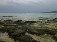 IMG_0627.JPG