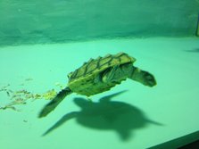 IMG_0640.JPG