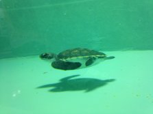 IMG_0644.JPG