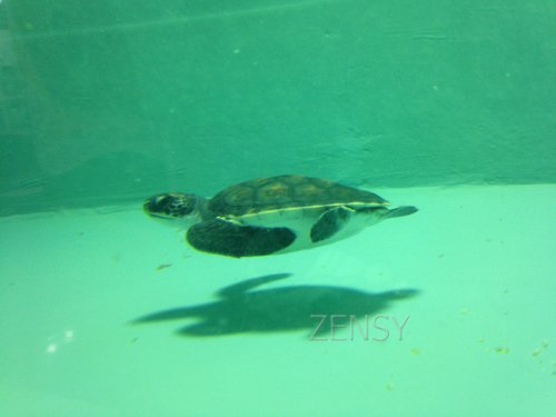 IMG_0644.JPG
