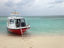 IMG_0661.JPG
