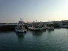 IMG_0750.JPG