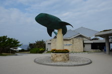 D4X_0154.JPG