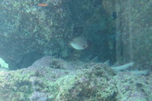D4X_0177.JPG
