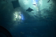 D4X_0188.JPG