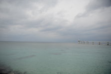 D4X_0204.JPG