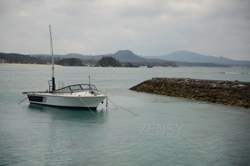 D4X_0205.JPG