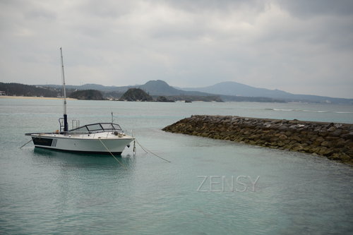 D4X_0206.JPG