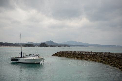 D4X_0207.JPG