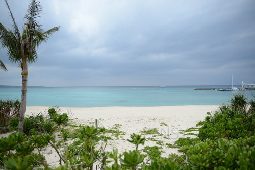 D4X_0211.JPG