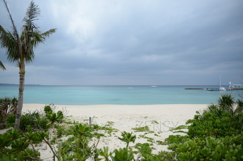 D4X_0212.JPG