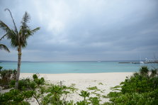 D4X_0213.JPG