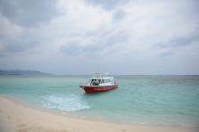 D4X_0215.JPG