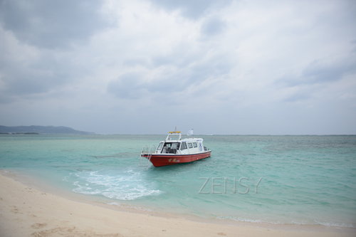D4X_0215.JPG