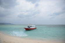 D4X_0216.JPG