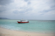 D4X_0217.JPG