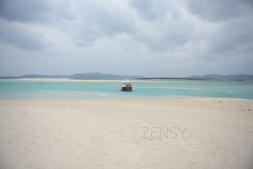 D4X_0218.JPG