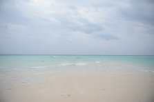 D4X_0219.JPG
