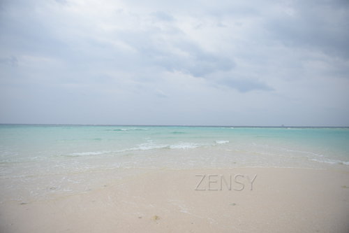 D4X_0219.JPG