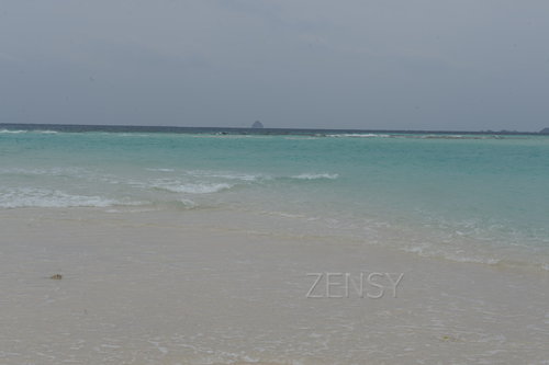 D4X_0220.JPG