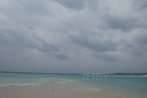 D4X_0223.JPG