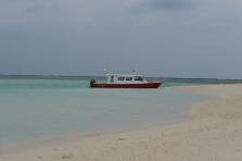 D4X_0224.JPG