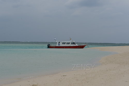 D4X_0225.JPG