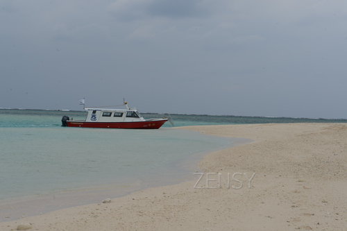 D4X_0226.JPG