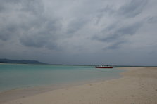 D4X_0227.JPG