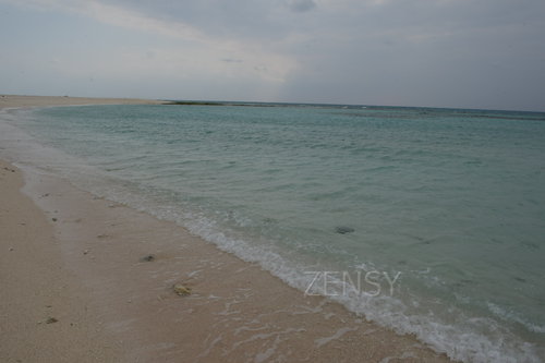 D4X_0231.JPG