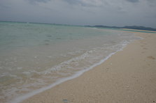 D4X_0232.JPG