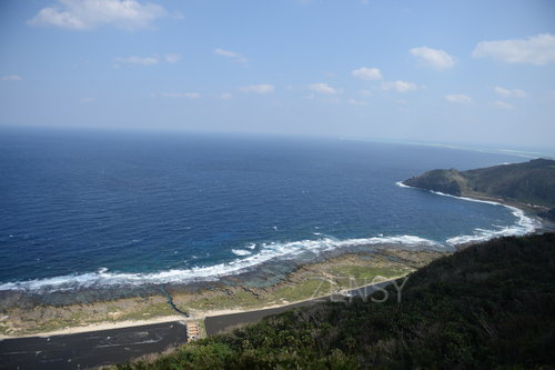 D4X_0244.JPG