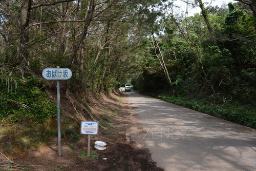 D4X_0249.JPG