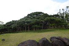 D4X_0251.JPG