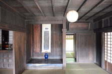 D4X_0263.JPG