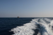 D4X_0273.JPG