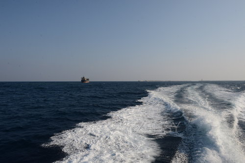 D4X_0273.JPG