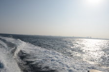 D4X_0274.JPG