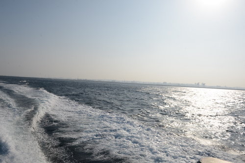 D4X_0274.JPG