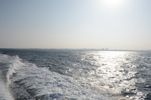 D4X_0275.JPG